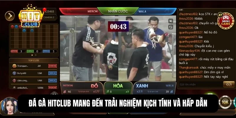 Hit Club